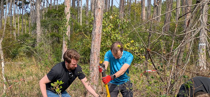 Teamwork beim Einsatz des Treepoppers
