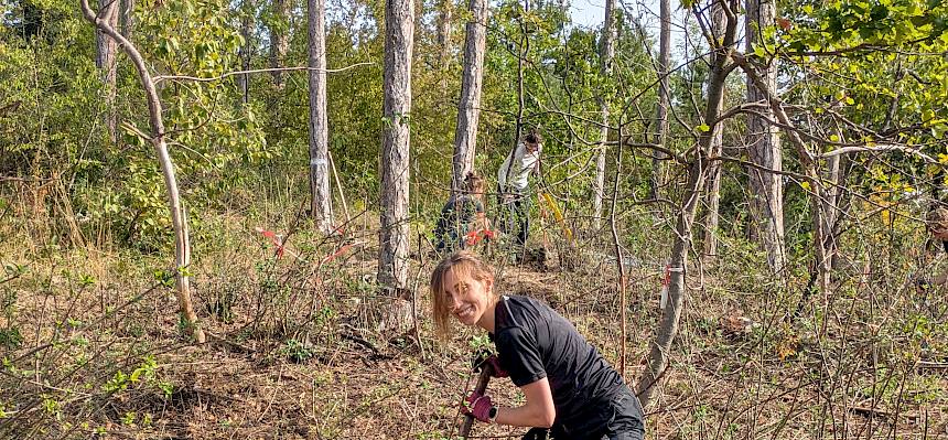 Volunteer bei Trockenrasenpflege