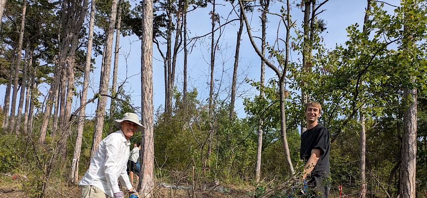 Volunteers tragen Plane