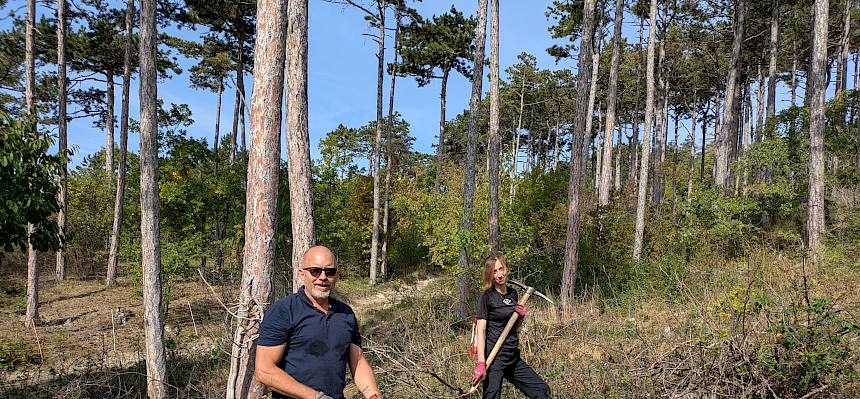 Volunteers bei der Arbeit