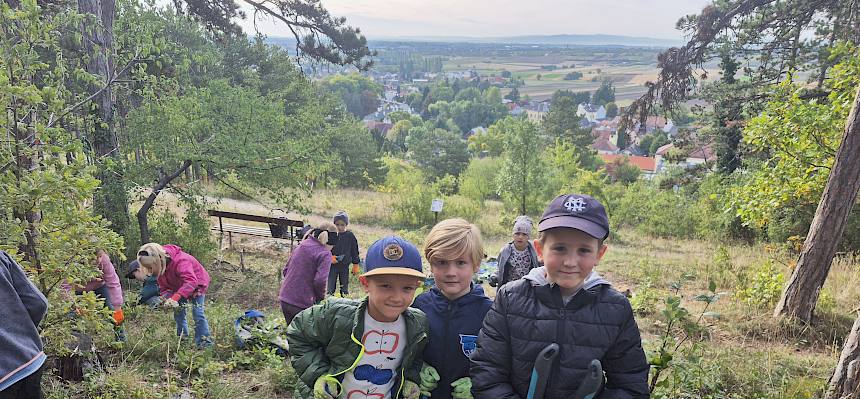 Schüler:innen pflegen Trockenrasen