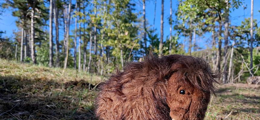 Mammut-Maskottchen
