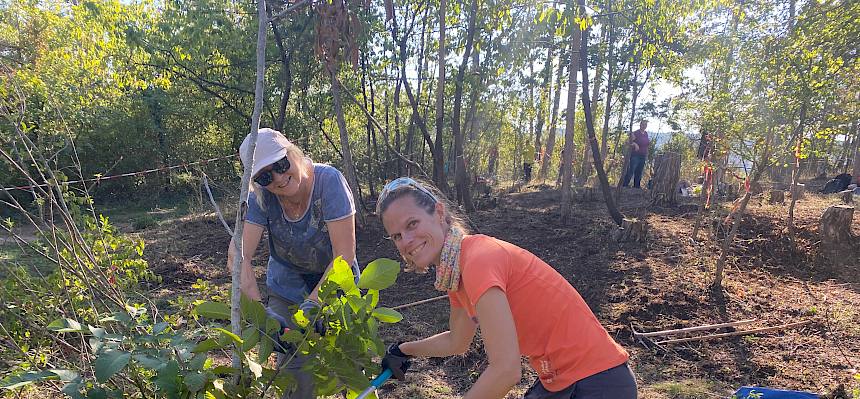 Volunteers bei Trockenrasenpflege