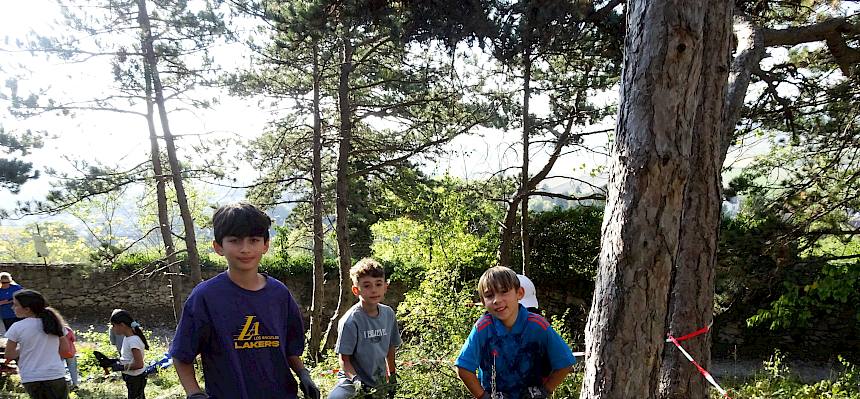 Schüler:innen pflegen Trockenrasen