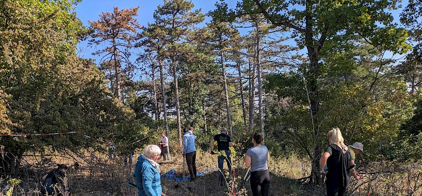 Volunteers bei Trockenrasenpflege