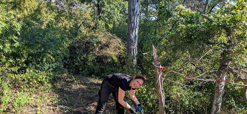 Volunteer mit Astschere