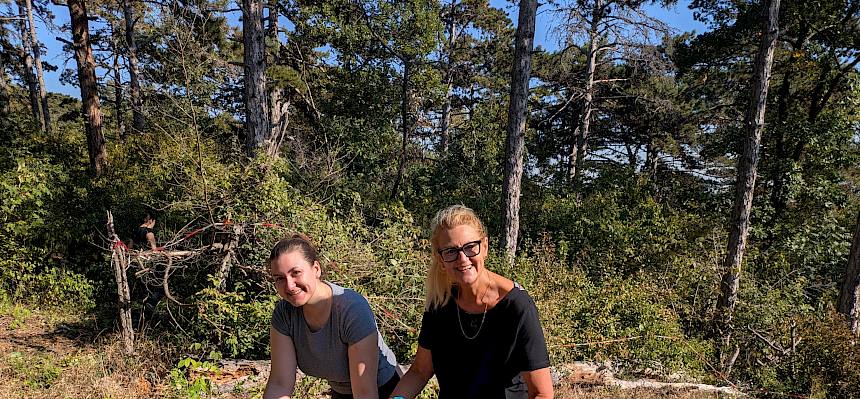 Volunteers mit Astscheren