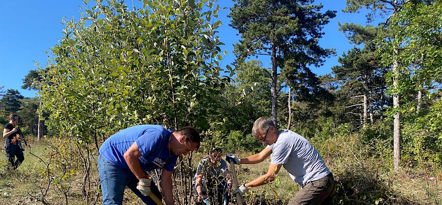 Volunteers bei Trockenrasenpflege