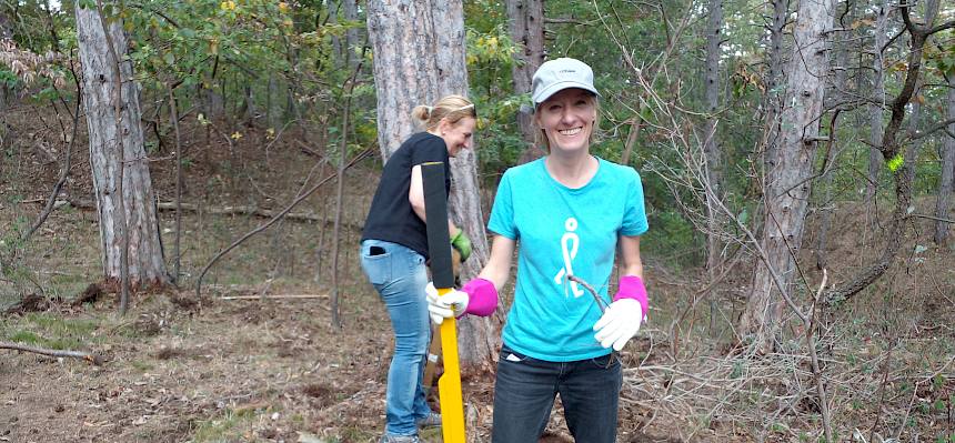 Volunteer mit Tree Popper