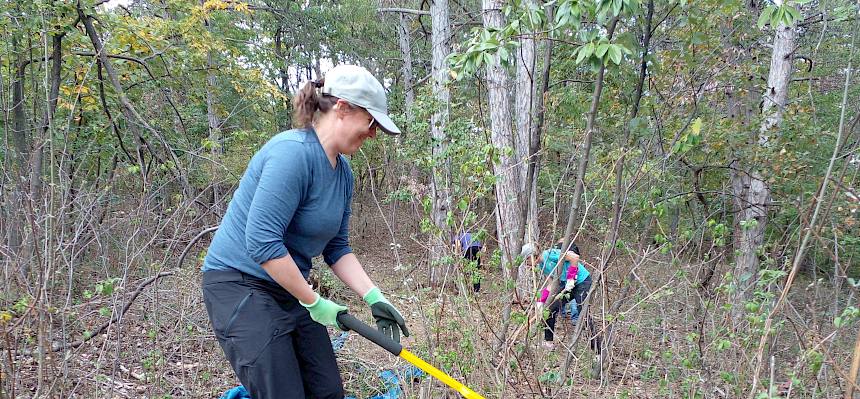 Volunteer mit Tree Popper