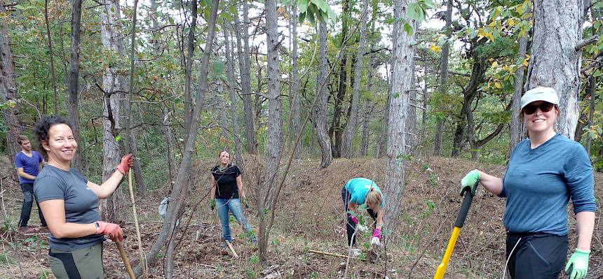 Volunteers bei Trockenrasenpflege