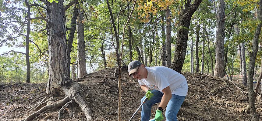 Volunteer mit Astschere