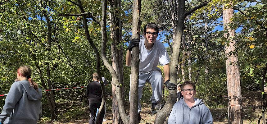 Schüler:innen bei Trockenrasenpflege auf Baum