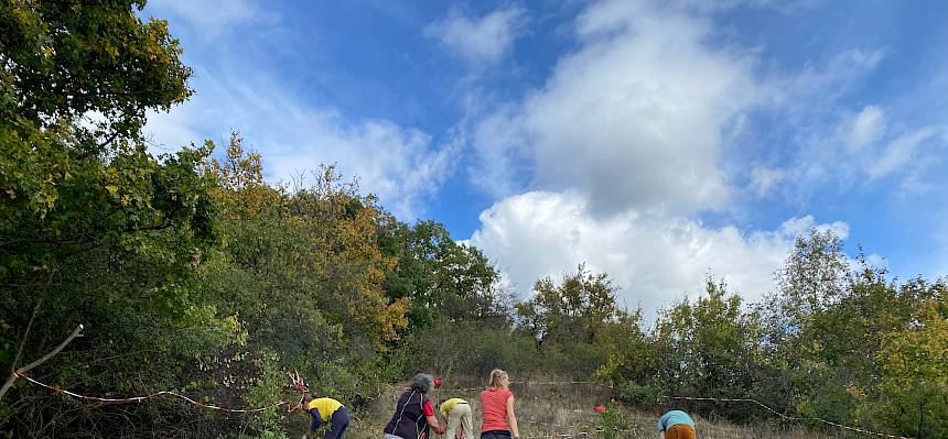 Volunteers bei Trockenrasenpflege