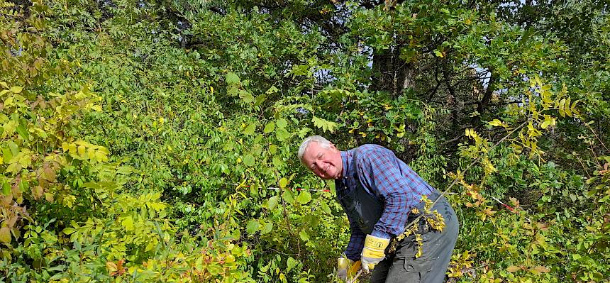 Bürgermeister mit Tree Popper
