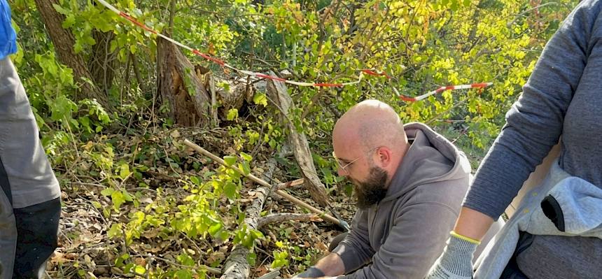 Volunteer sägt Gehölz