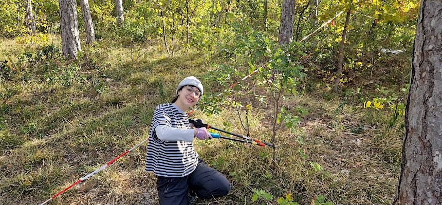 Praktikantin entfernt Gehölz